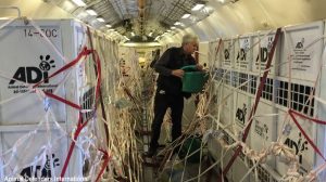 sff_lima_to_joburg_lions_water