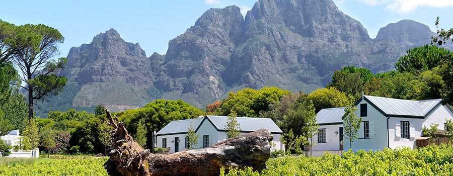 A rich history and commitment to sustainability are just two of the factors that make Boschendal a winelands treasure.