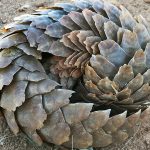 No credit required 1