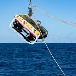 BackgroundUnderthesee