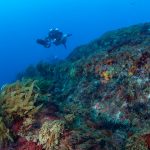 GP0STU5F0_High_resUnderthesee