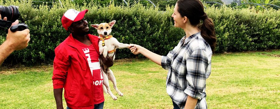 A Dog for Life, is a brand new 13 part docu-series by South African co- director Samantha Gray, currently streaming on Netflix. The Big Issue catches up...