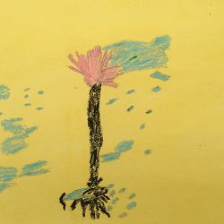 Nomthintelo Cele small tree