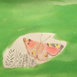 Xoliswa Ntunta Summer butterflies